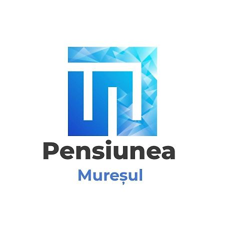 Pensiunea Muresul Hotel Targu Mures Ngoại thất bức ảnh